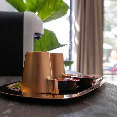 Lofts Thassos فندق