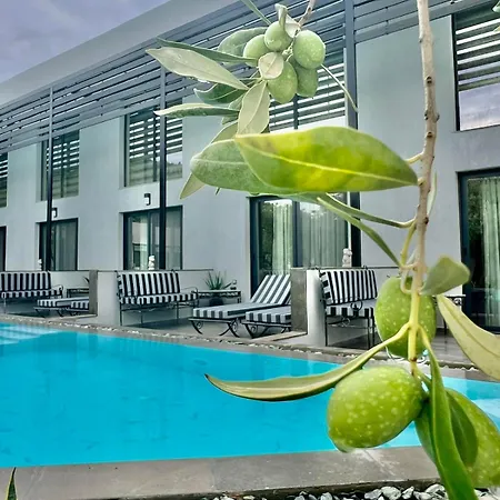 Hotel Lofts Thassos 3*